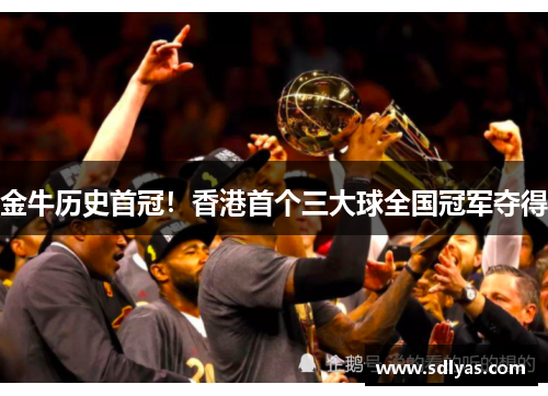 金牛历史首冠！香港首个三大球全国冠军夺得